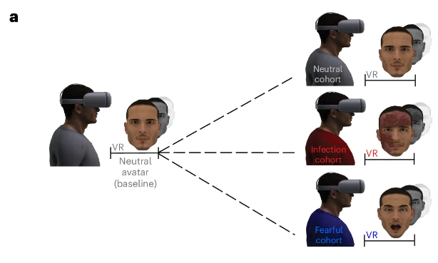 Pot la realitat virtual  enfortir la teva Immunitat? Un estudi revela sorprenents respostes biològiques