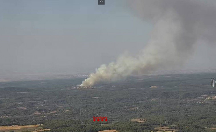 Els Bombers treballen en l'extinció d'un incendi forestal a Fulleda