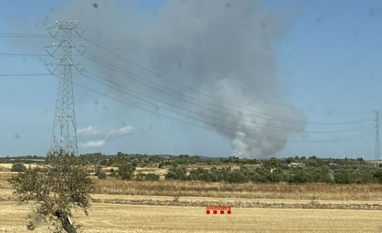 El foc de l'incendi a Fulleda no s'ha reprès i ja es dóna per estabilitzat