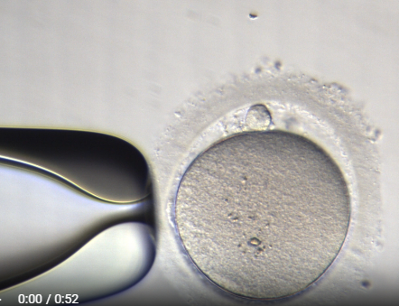 Screenshot 27