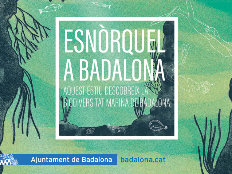Vols explorar el fons marí? Sortides gratuïtes d'esnòrquel aquest estiu