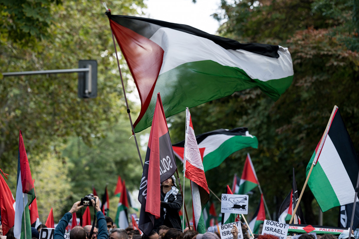 Imagen de archivo - Banderas de Palestina