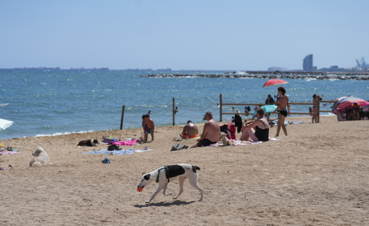 Una dona de 81 anys mor en una platja de Llançà, la víctima 17 en el litoral català aquest estiu