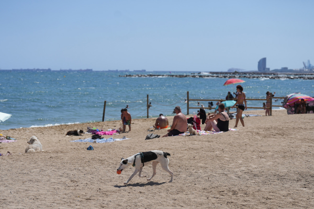 Playa barcelonesa de Llevant este verano