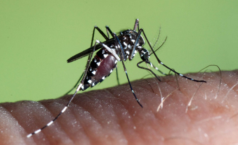 Més de 7,000 afectats: un virus amb símptomes greus deslliga la por en la població xinesa.