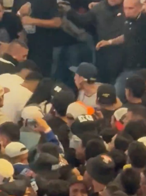 Pelea columbia