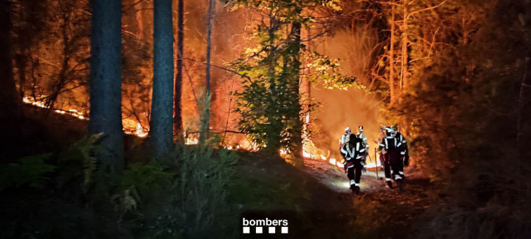 VÍDEO: L'incendi d'Amer, provocat: Mossos d'Esquadra investiguen les causes