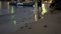 VÍDEO: alegria en la costa catalana pel naixement de 25 tortugues
