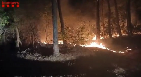 Els incendis a Espanya toquen sostre i registren la pitjor dada de la dècada