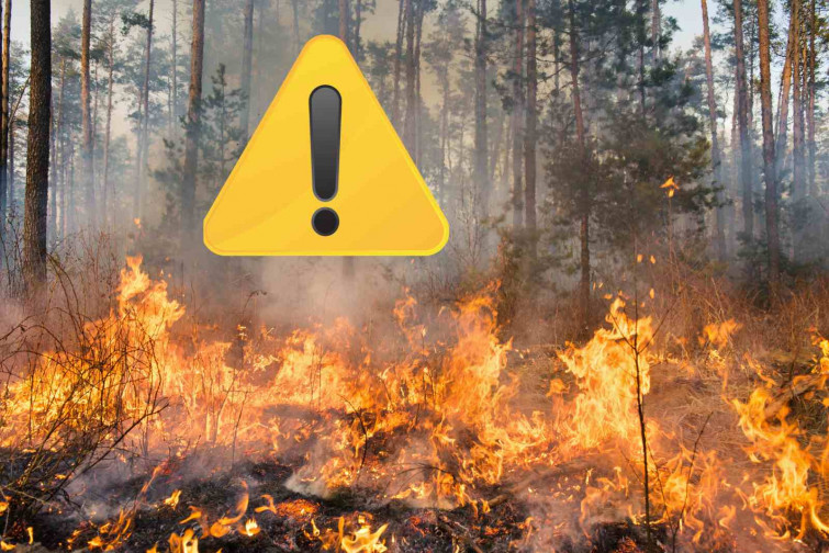 Alarma sanitària: la mortalitat per fum d'incendis forestals podria ser gairebé el doble de l'estimat