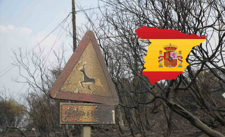 Espanya crema: els incendis devoren milers d'hectàrees i sumen ja tres morts