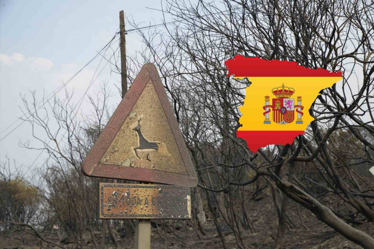 Una señal quemada, a 13 de agosto de 2025, en Chandrexa de Queixa, Ourense, Galicia (España)