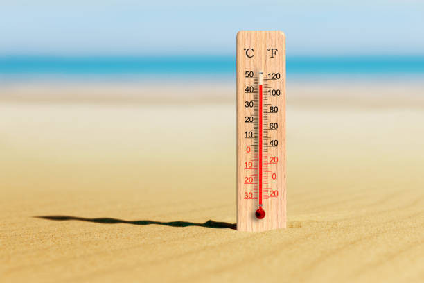 Catalunya blinda nou espais naturals i activa l'alerta per l'onada de calor i el risc extrem d'incendis