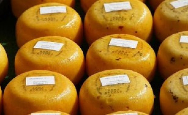 Brot de listèria a Europa: dues morts i 21 infectats per formatge contaminat
