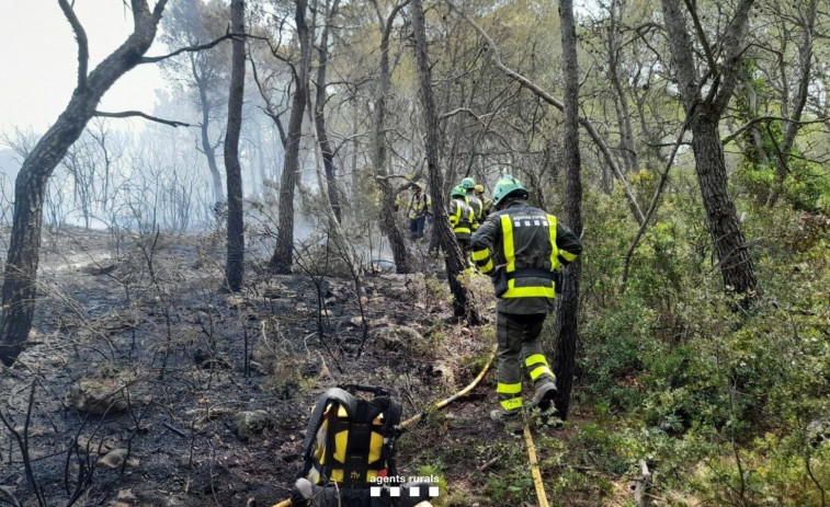 Un incendi crema 6.245 metres quadrats a Valls