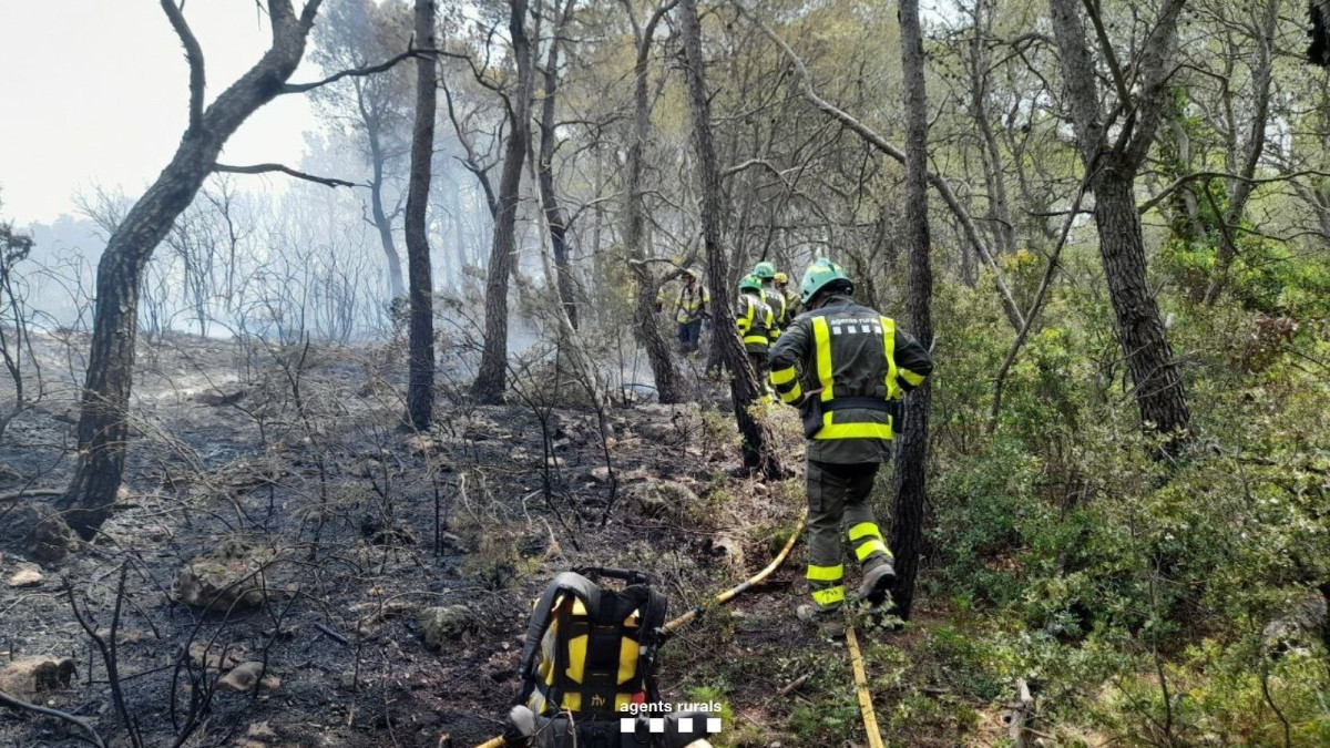 EuropaPress 6906241 incendio valls tarragona quema 6245 metros cuadrados