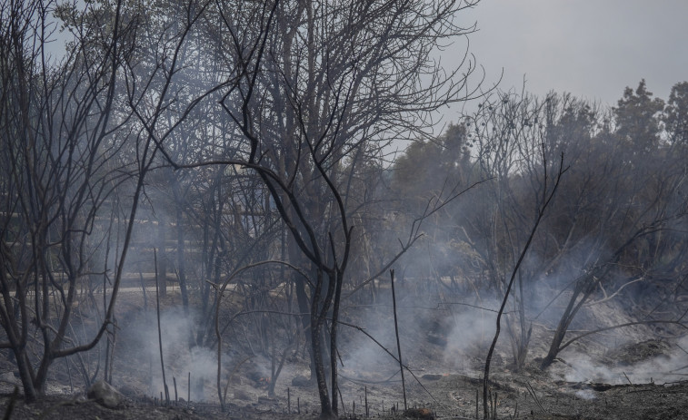 Els Mossos d'Esquadra identifiquen a un home com a presumpte piròman de 4 incendis