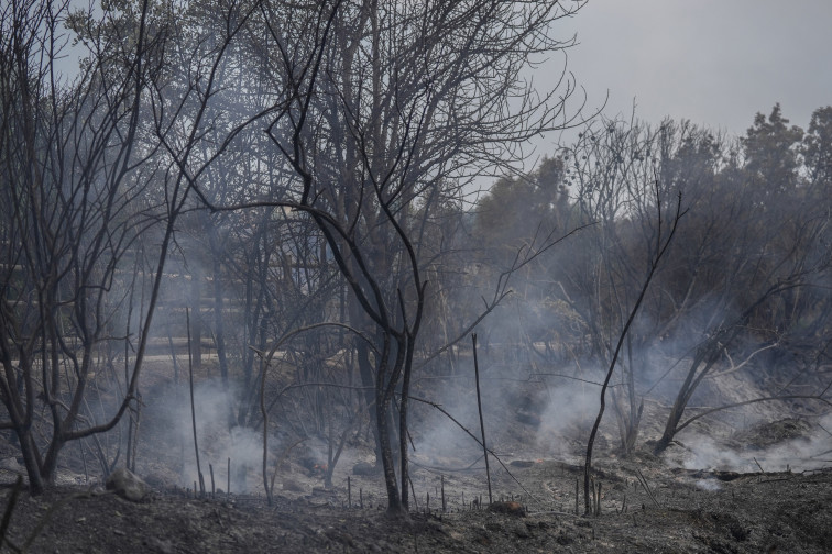 Catalunya desactiva l'alerta màxima per risc d'incendis i reobre espais naturals