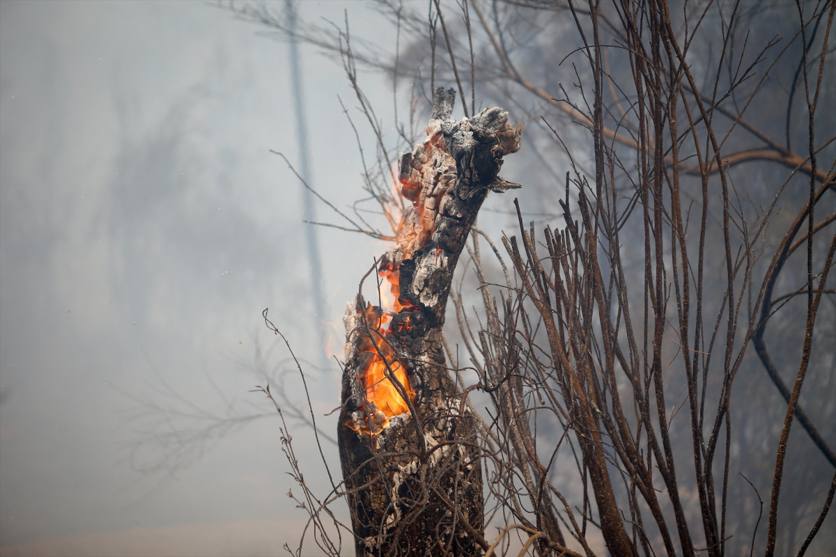 EuropaPress 6904904 incendio forestal acerca quiroga 17 agosto 2025 quiroga lugo galicia espana