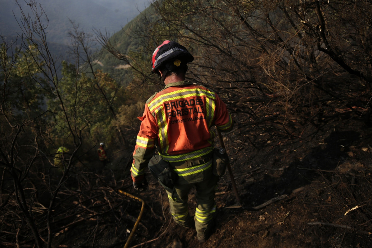 EuropaPress 6907587 brigada forestal trata extinguir fuego 19 agosto 2025 palacios compludo