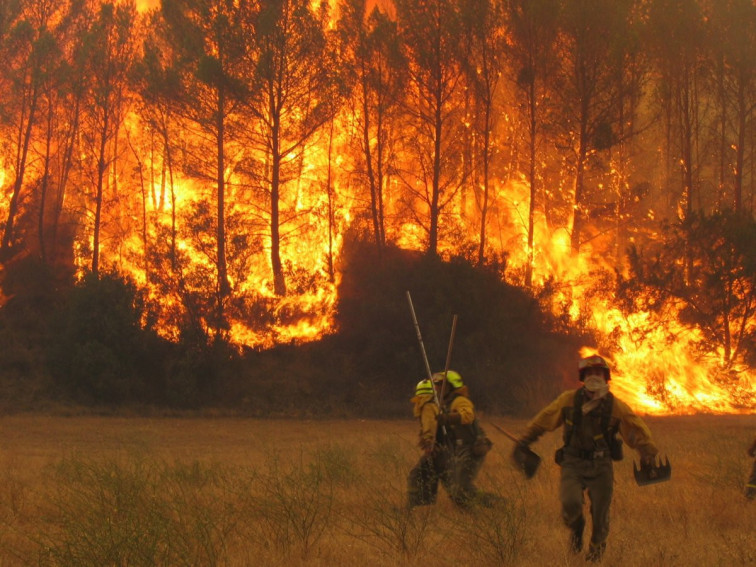 Bombers de primera i forestals de segona: una injustícia que crema a Espanya