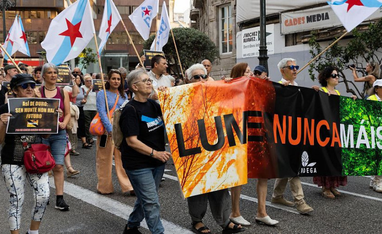 La negra ombra dels interessos darrere dels incendis: 