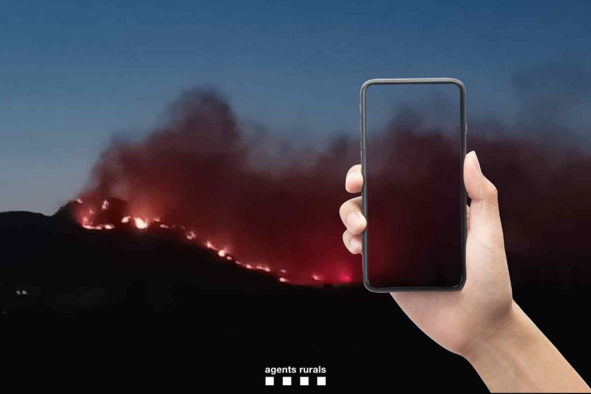 El incendio de Paüls (Tarragona)   AGENTS RURALS   CANVA (2)