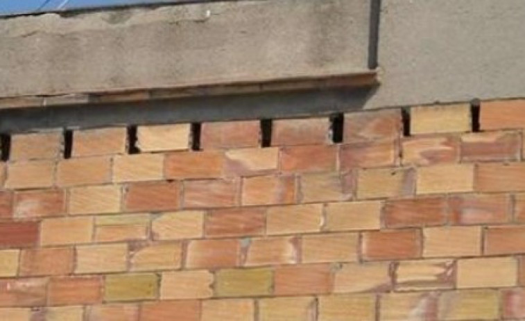 Denuncien la demolició d'un niu de falciots malgrat els advertiments