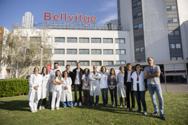 Vilapressbellvitgepioner