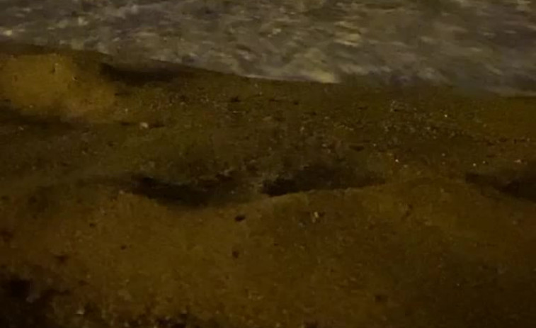 VÍDEO| 58 platges de Catalunya amb bandera vermella pel fort onatge