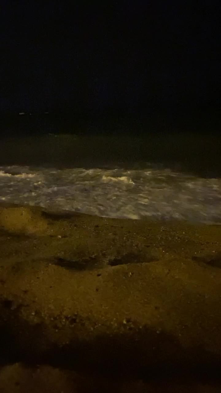 IMG 0627
