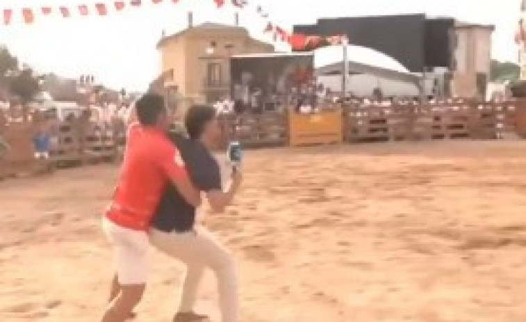 VÍDEO | Un reporter espanyol sobreviu a l'envestida d'una vaquilla durant un reportatge