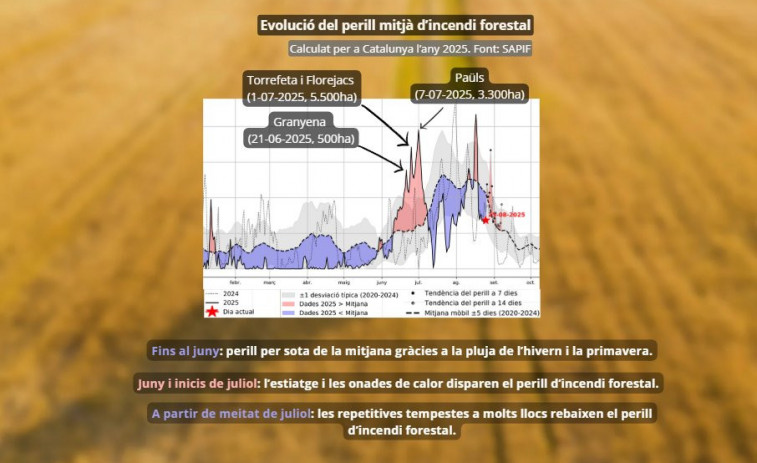 Anàlisi de Meteocat: el canvi climàtic agreuja el perill d'incendis, esborrant els patrons històrics de foc