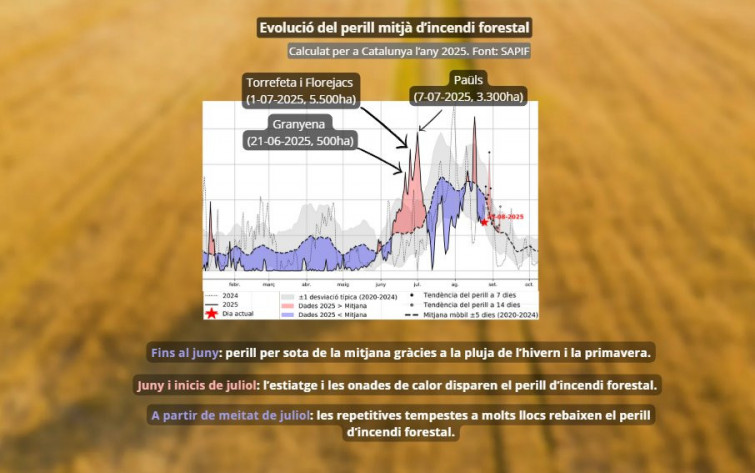 Anàlisi de Meteocat: el canvi climàtic agreuja el perill d'incendis, esborrant els patrons històrics de foc