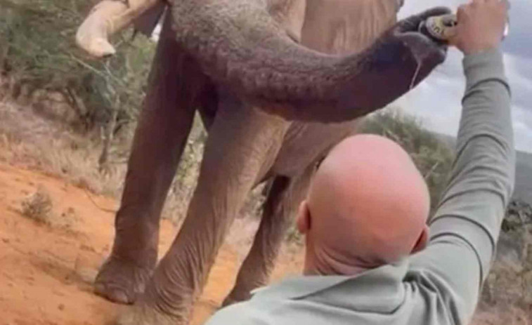 VÍDEO | Polèmica per les imatges d'un turista espanyol donant cervesa a un elefant a Kenya