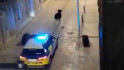 VÍDEO | Una vaca s'escapa a Ulldecona i la policia la persegueix pel centre del poble