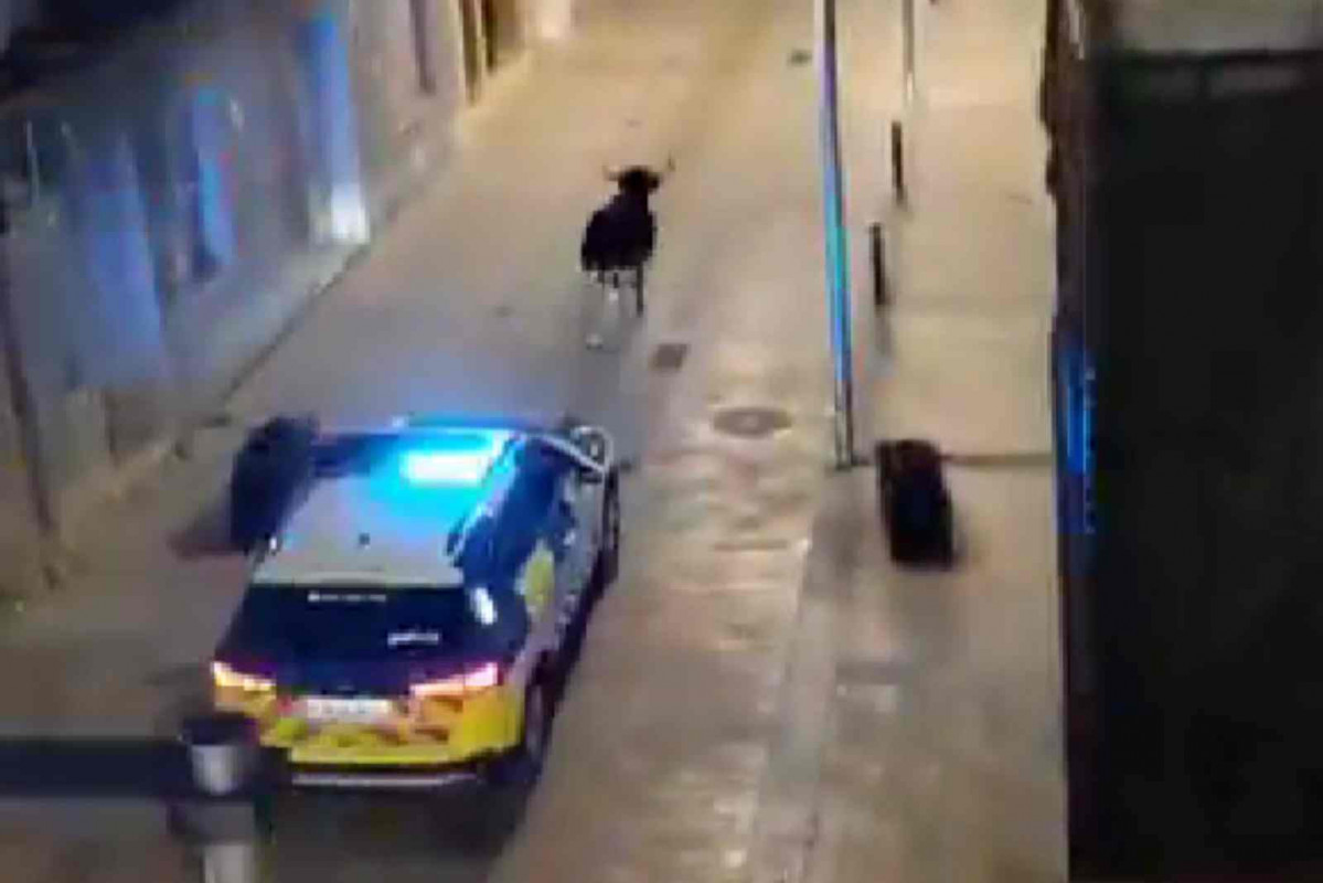 Policía persiguiendo a la vaquilla en Ulldecona   X