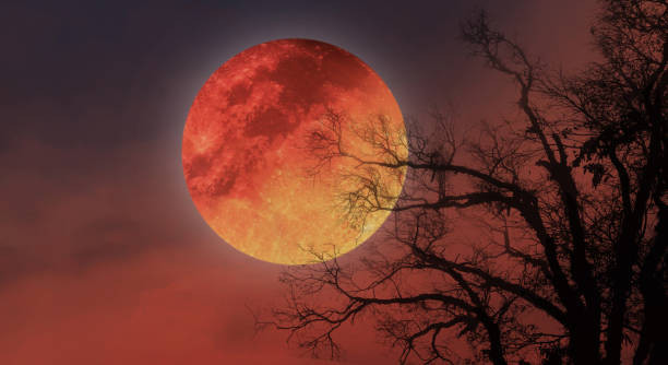 Luna sangre