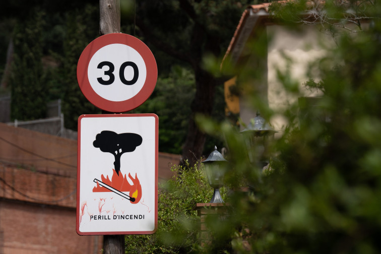 Trasobares (CTFC): Gestionar boscos surt molt més barat que construir infraestructures