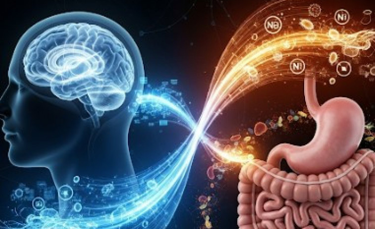 La Ciència del Somni: una recerca revela com l'eix intestí-cervell afecta la qualitat del descans