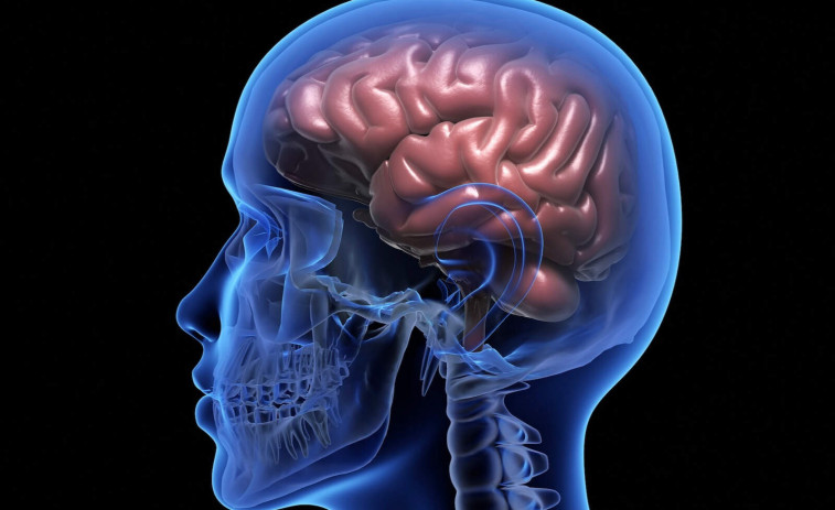 Com es mou el cervell: una IA revela claus per a entendre i tractar malalties mentals