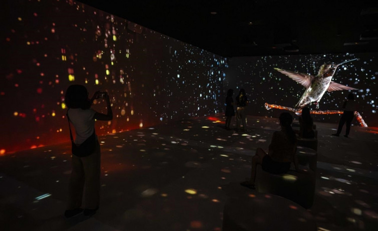 Caixaforum de Barcelona proposa un viatge a la naturalesa en una exposició immersiva
