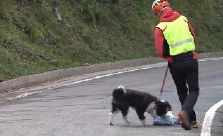 Drons i gossos aconsegueixen el rescat: més de 120 efectius troben al 'boletaire' desaparegut a Gombrèn