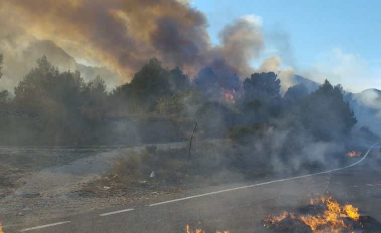 VÍDEO | Tirs enfront del Parlament de Sèrbia: un home ferit i carpa incendiada