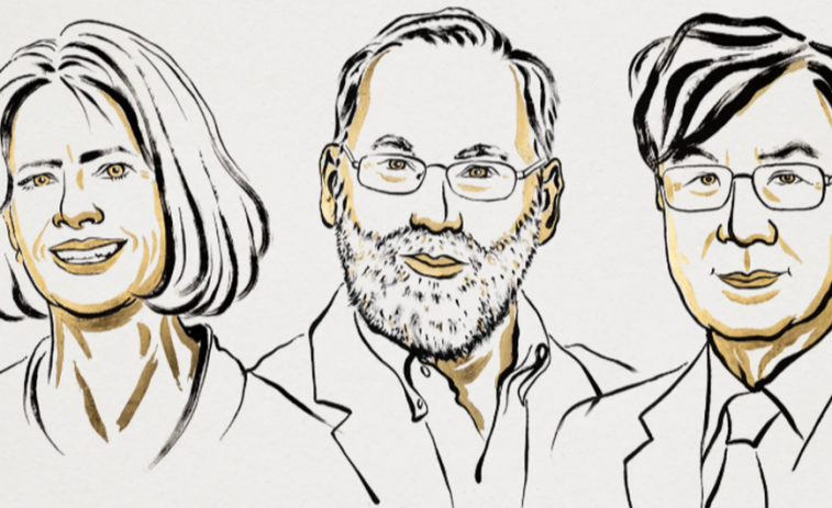 El Nobel de Medicina 2025 premia els descobriments que revolucionen les malalties autoimmunes