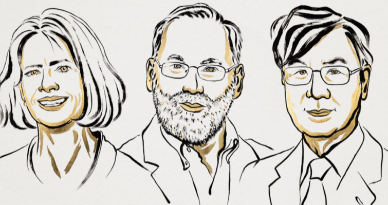 El Nobel de Medicina 2025 premia els descobriments que revolucionen les malalties autoimmunes