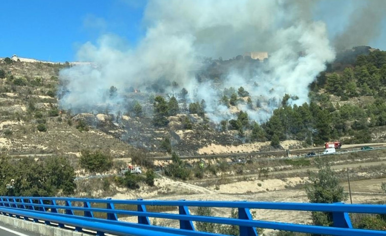 Incendi a Llorac (Tarragona): 12 dotacions de Bombers treballen per extingir les flames