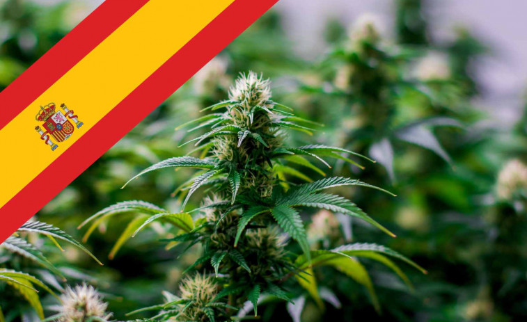 Espanya dóna llum verda a l'ús terapèutic del cànnabis: descobreix qui podrà accedir i quan començarà a receptar-se