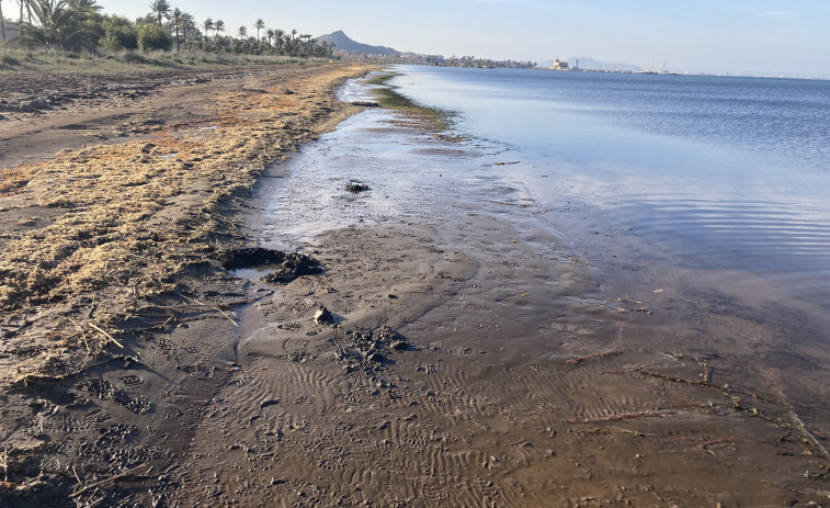 La Mar Menor  es converteix en un dipòsit de metalls tòxics