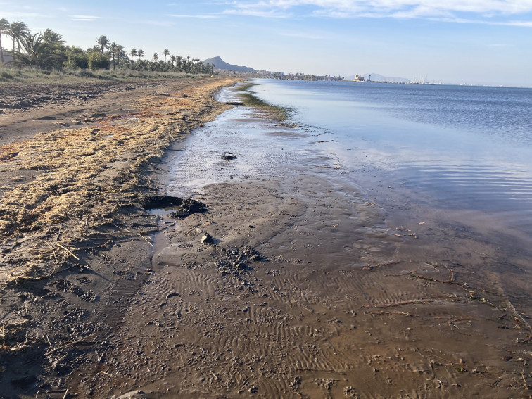 La Mar Menor  es converteix en un dipòsit de metalls tòxics